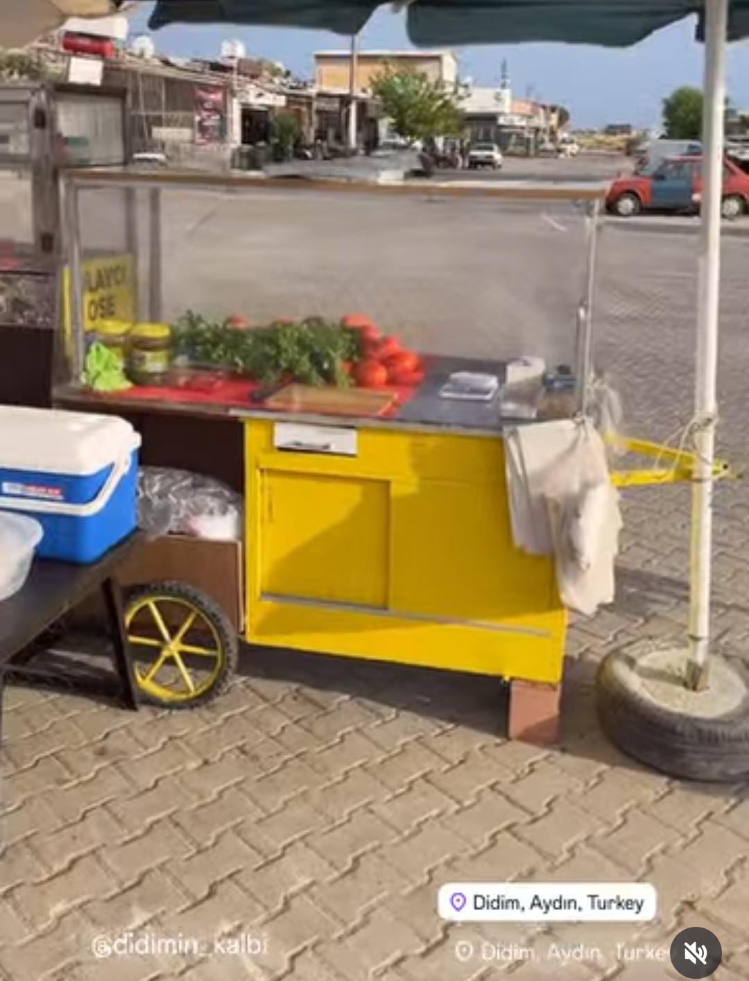 Özer Gece Söğüşçüsü